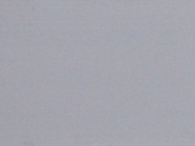 附近服务女的联系方式